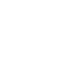 Social Icon 2